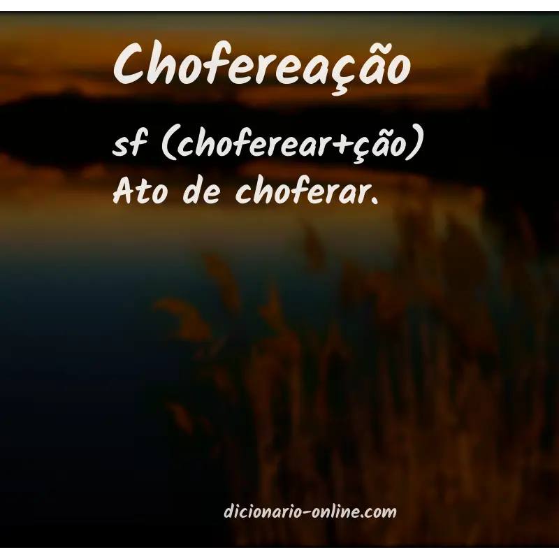 Significado de chofereação