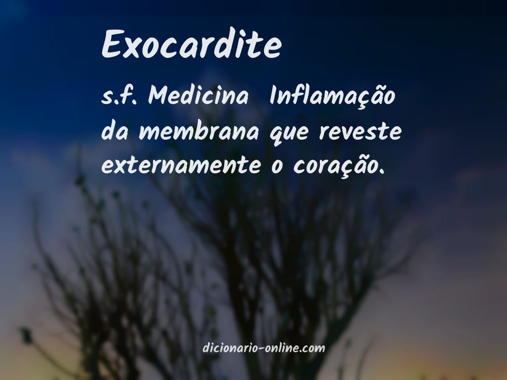 Significado de exocardite