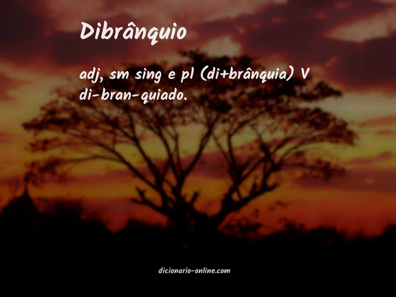 Significado de dibrânquio