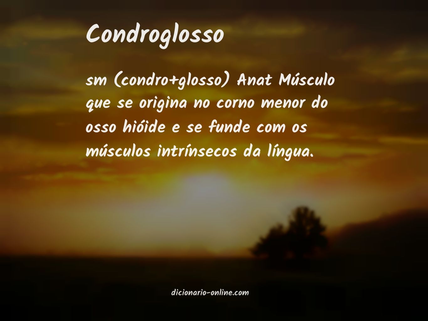 Significado de condroglosso