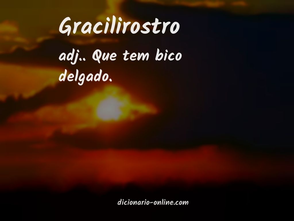 Significado de gracilirostro