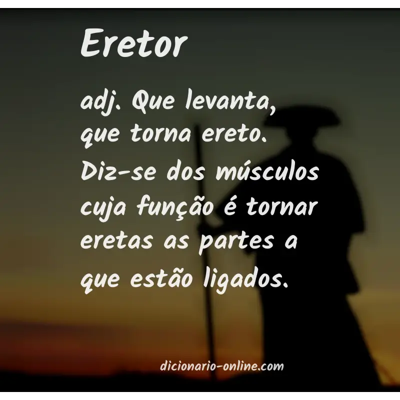 Significado de eretor