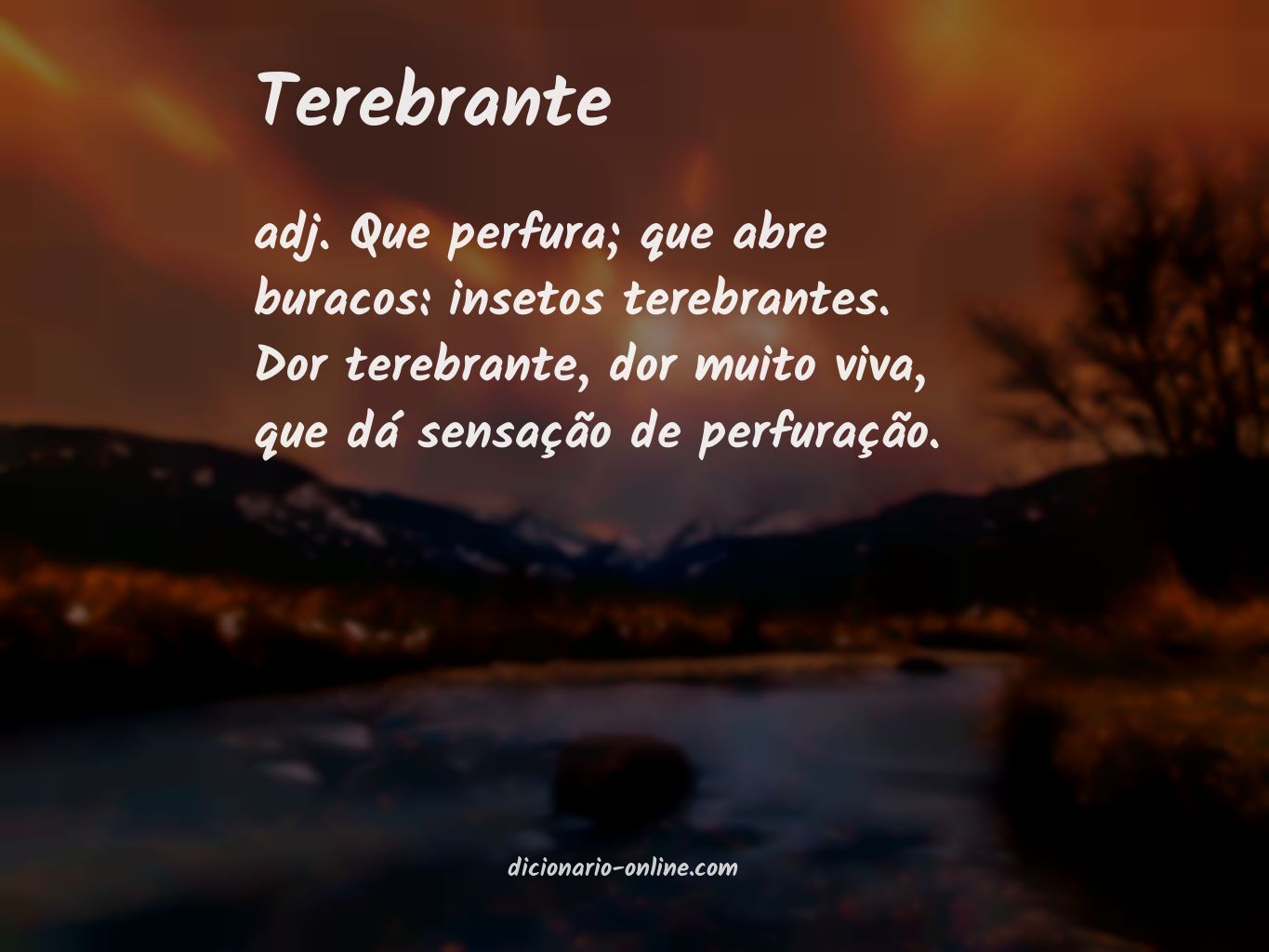 Significado de terebrante