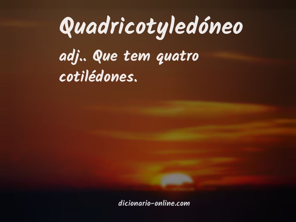 Significado de quadricotyledóneo