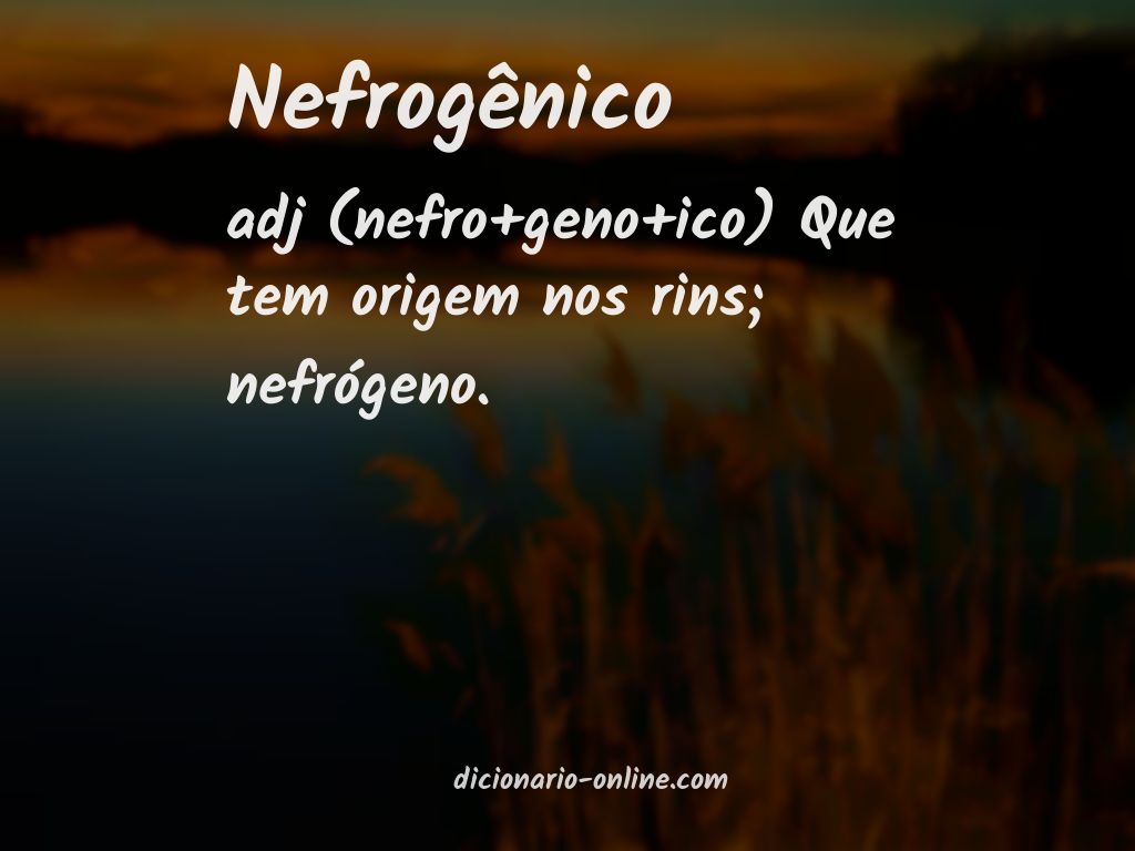 Significado de nefrogênico