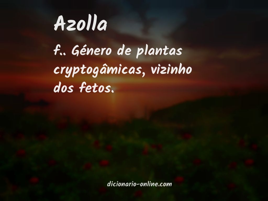 Significado de azolla