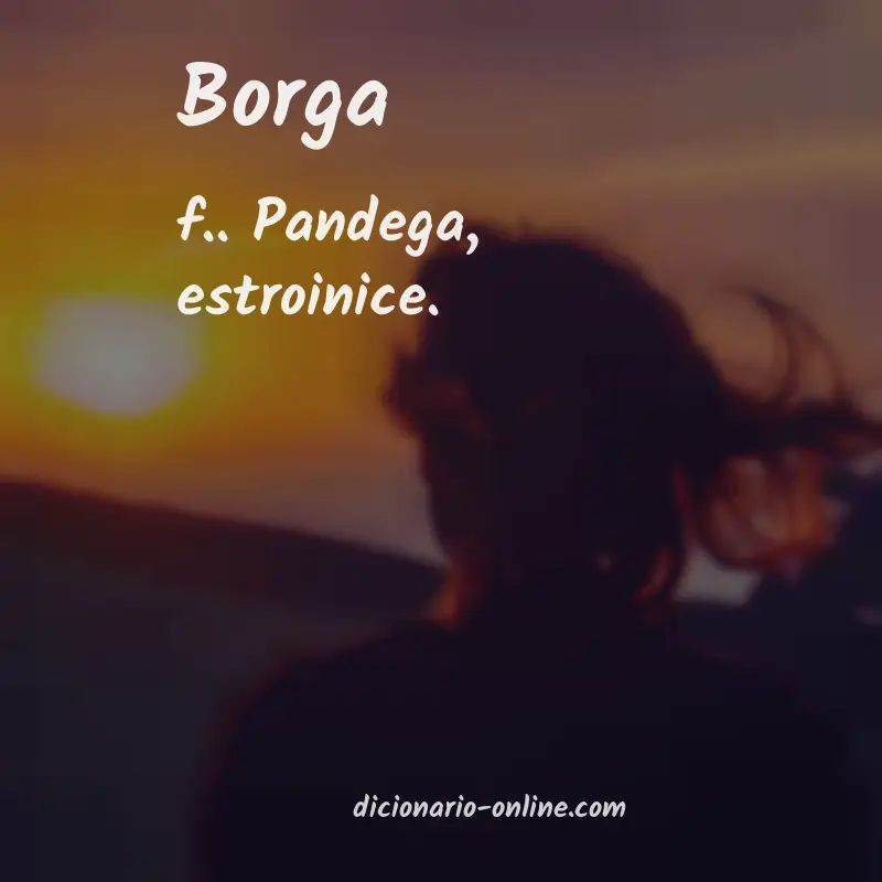 Significado de borga