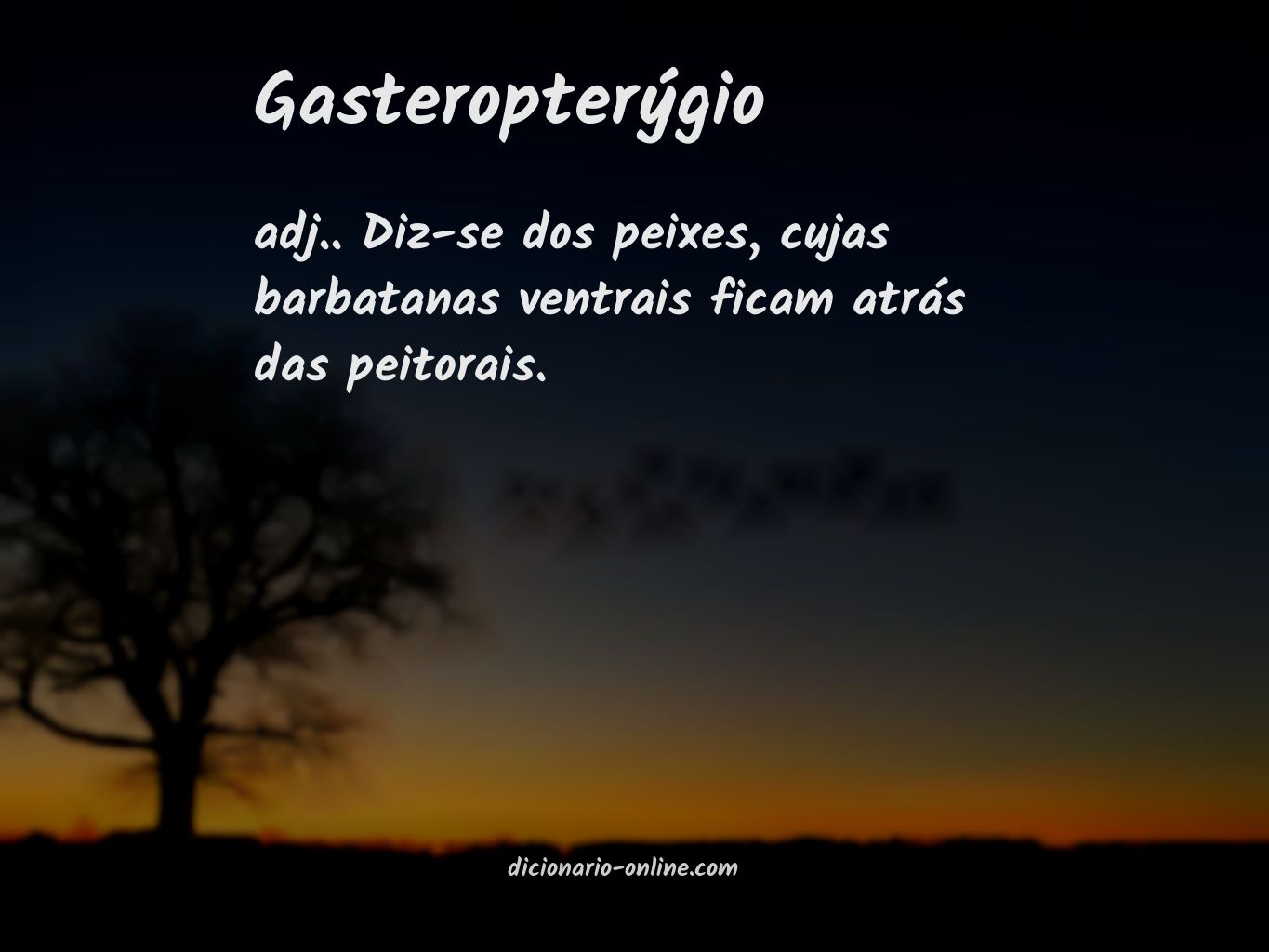 Significado de gasteropterýgio