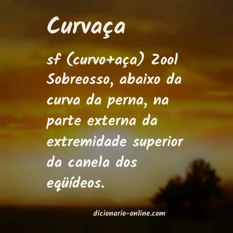 Significado de curvaça