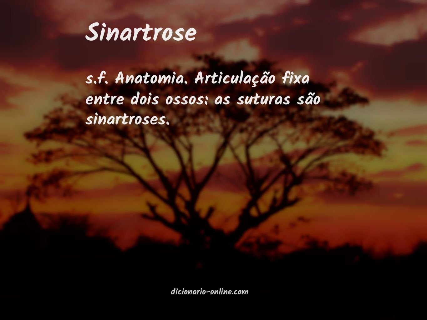 Significado de sinartrose