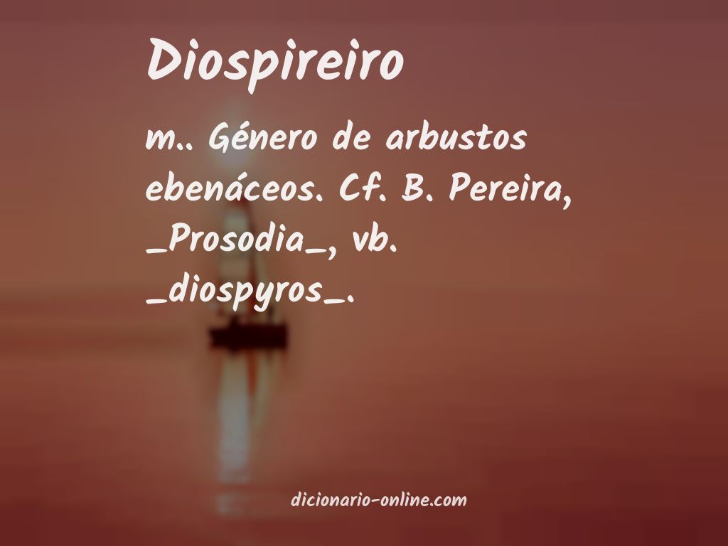 Significado de diospireiro