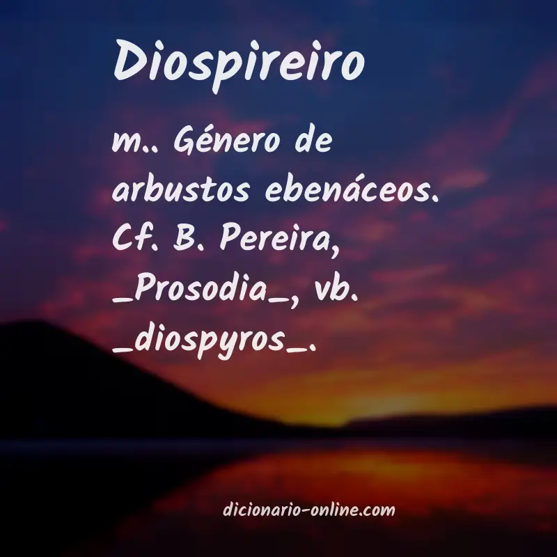 Significado de diospireiro