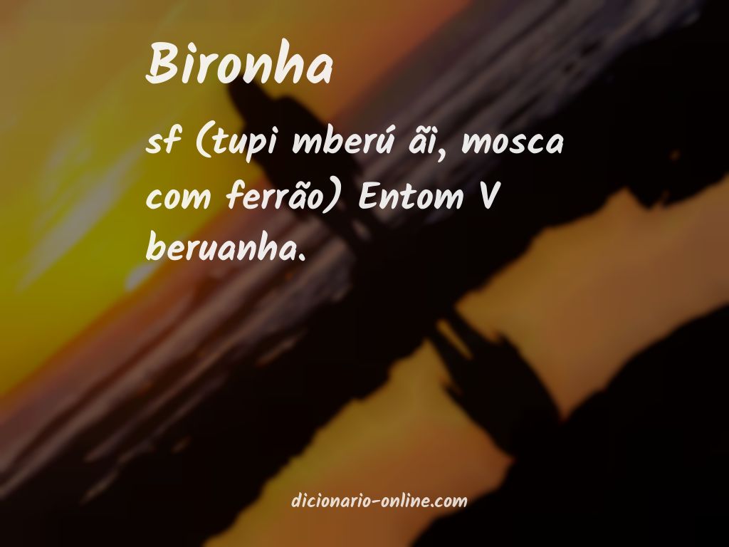 Significado de bironha