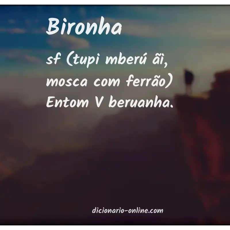 Significado de bironha