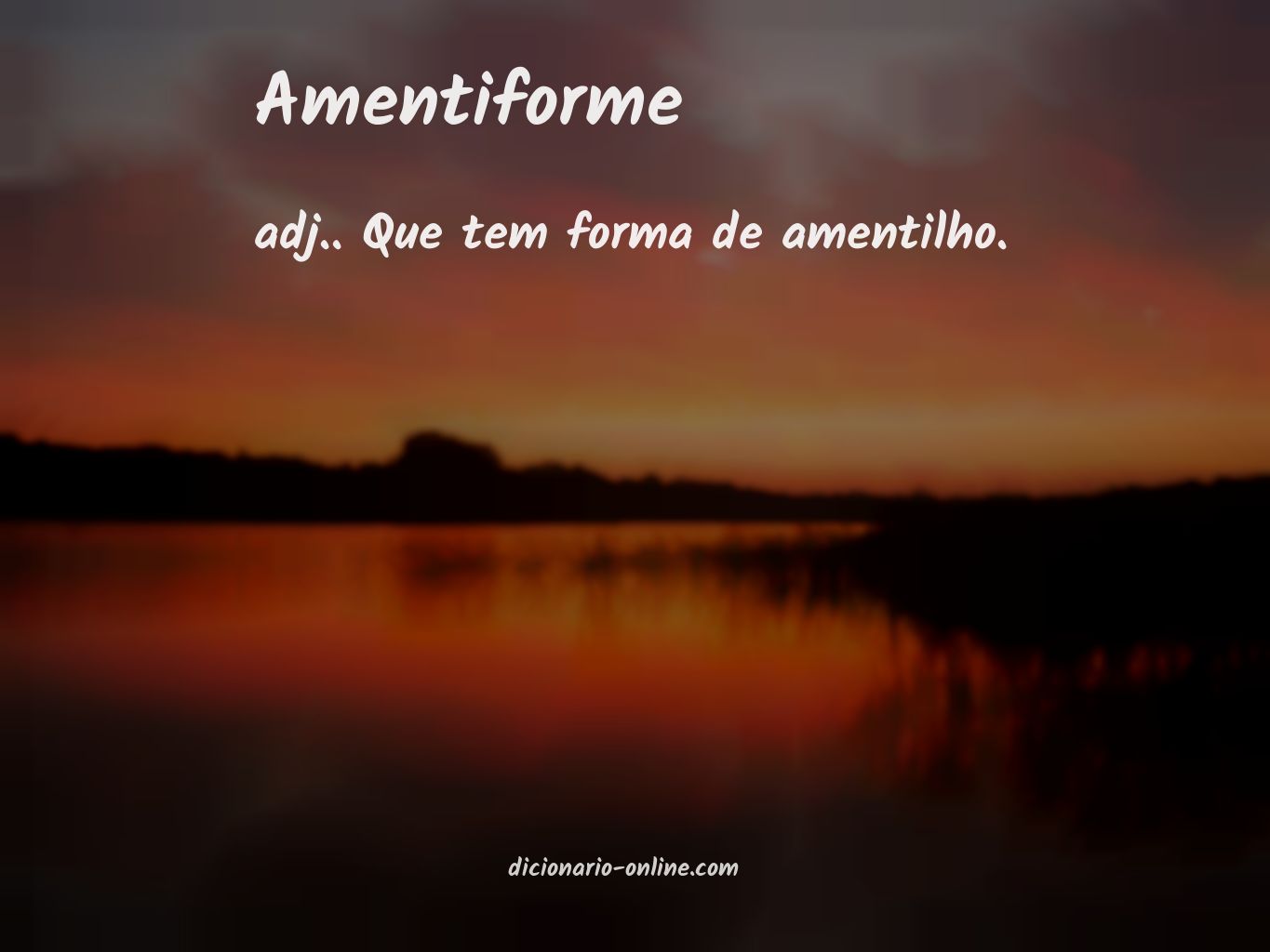 Significado de amentiforme