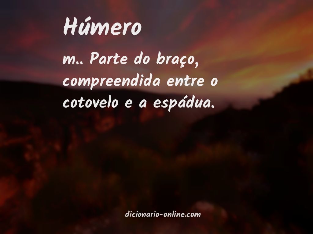 Significado de húmero