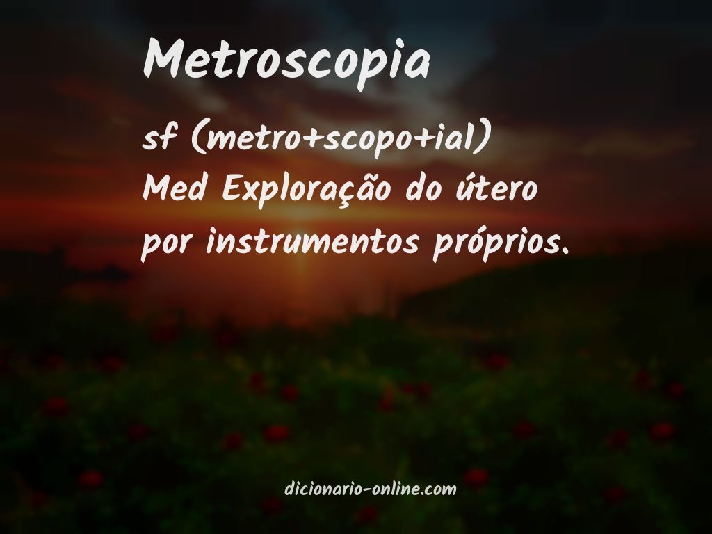 Significado de metroscopia