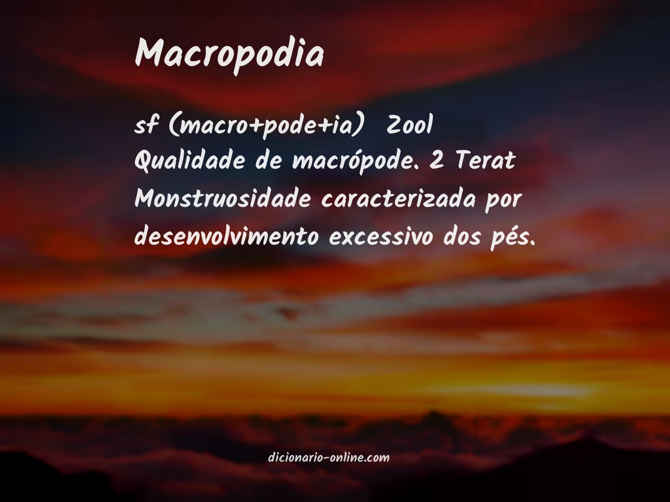 Significado de macropodia