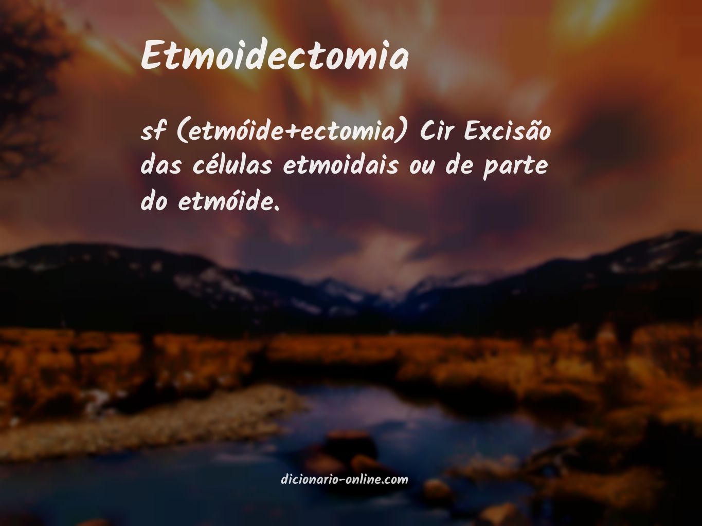 Significado de etmoidectomia