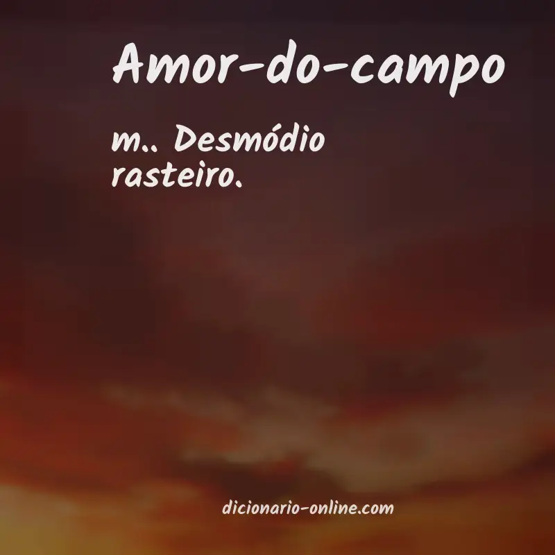 Significado de amor-do-campo