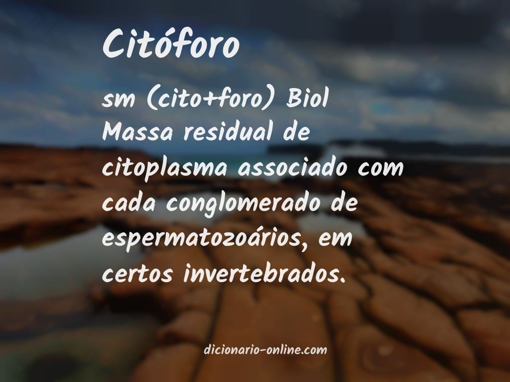 Significado de citóforo