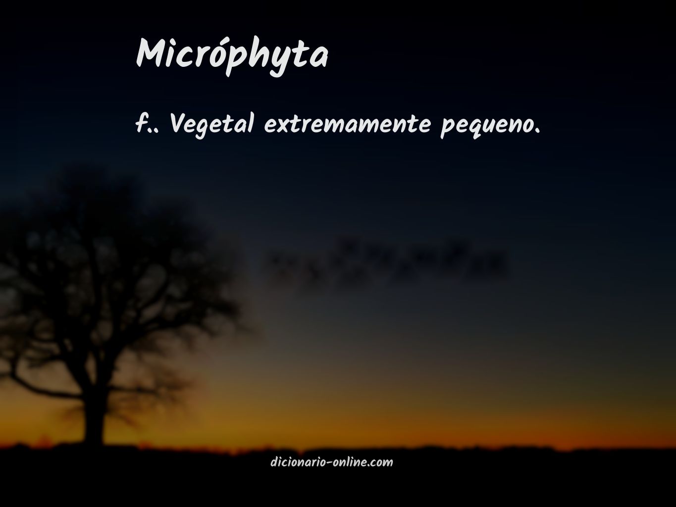 Significado de micróphyta