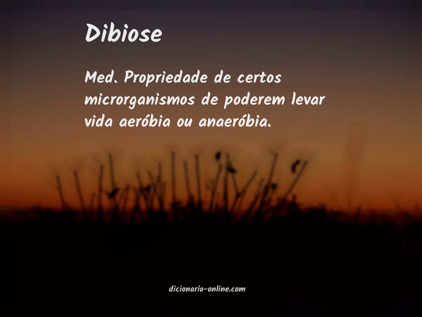 Significado de dibiose