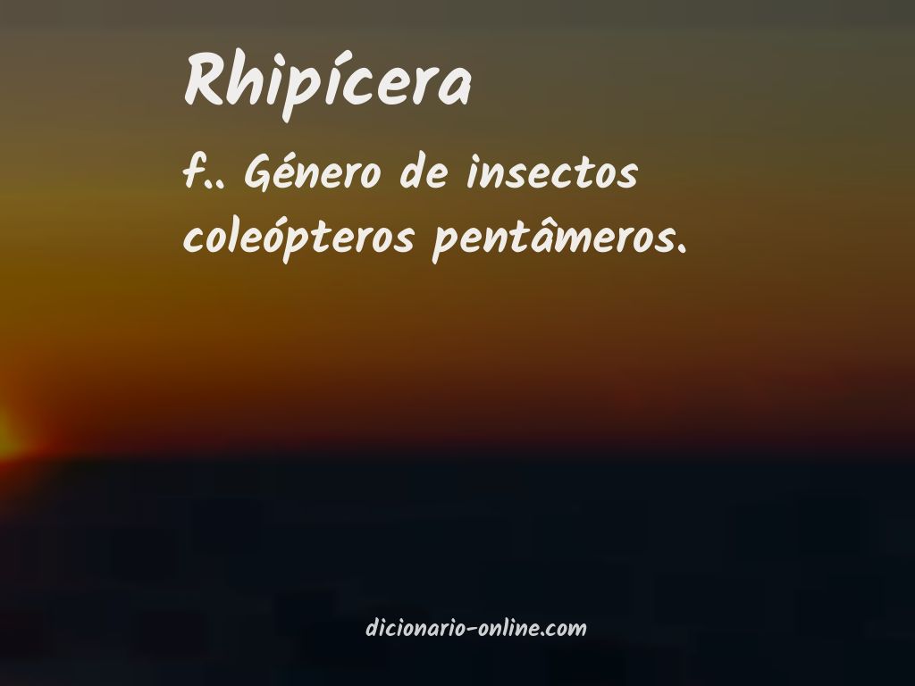 Significado de rhipícera