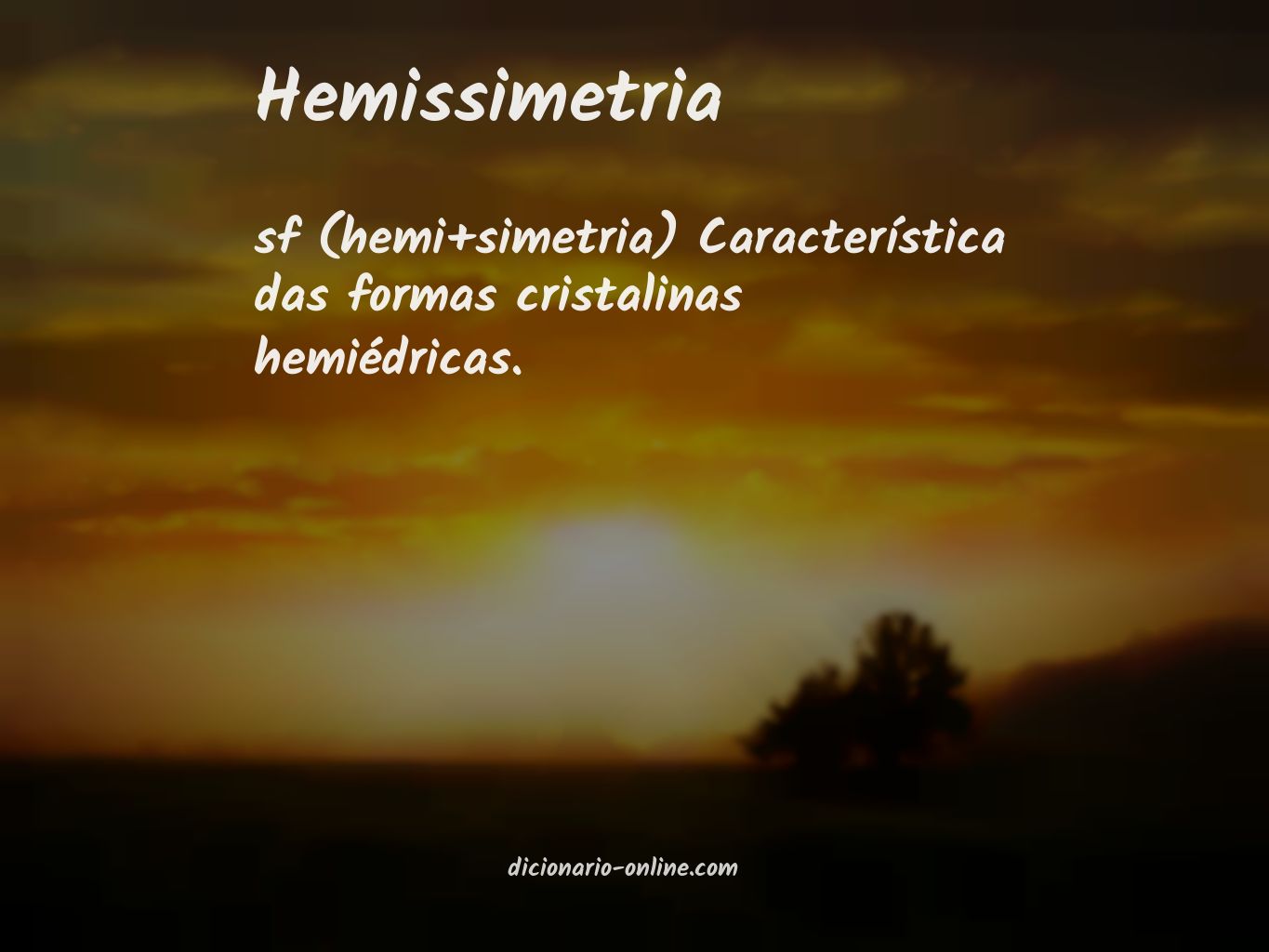 Significado de hemissimetria