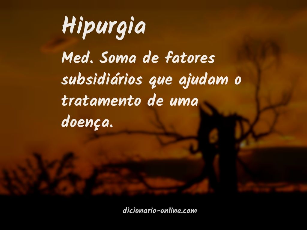 Significado de hipurgia