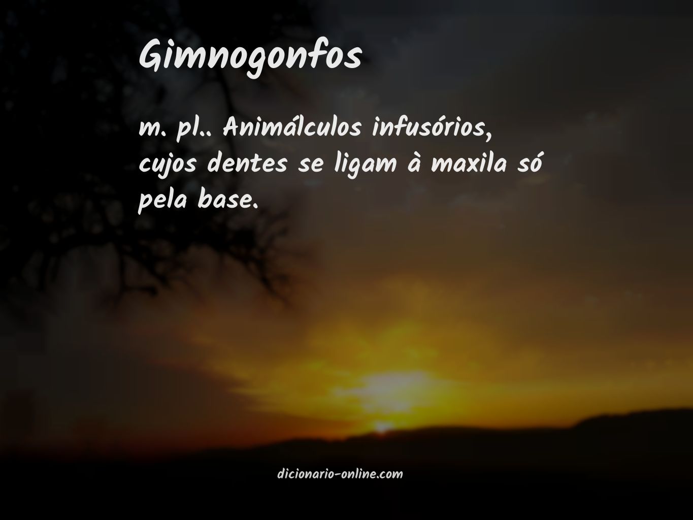 Significado de gimnogonfos