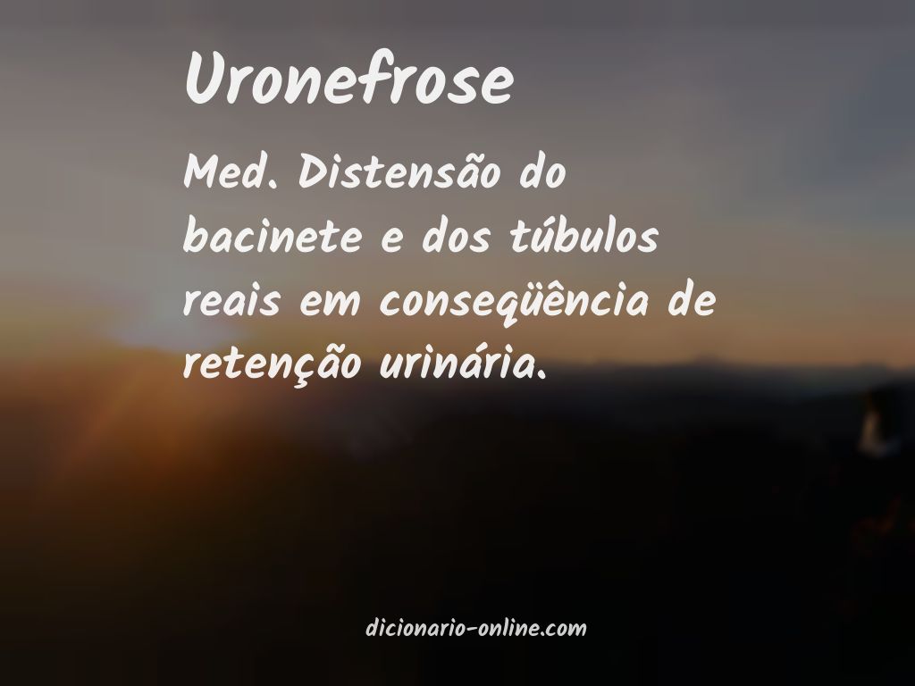 Significado de uronefrose