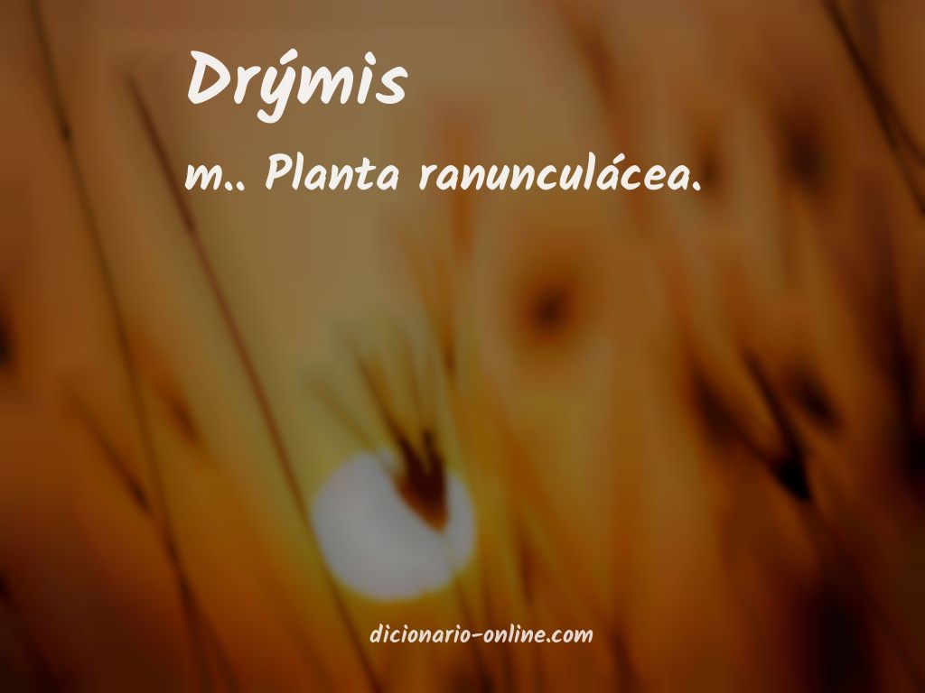 Significado de drýmis