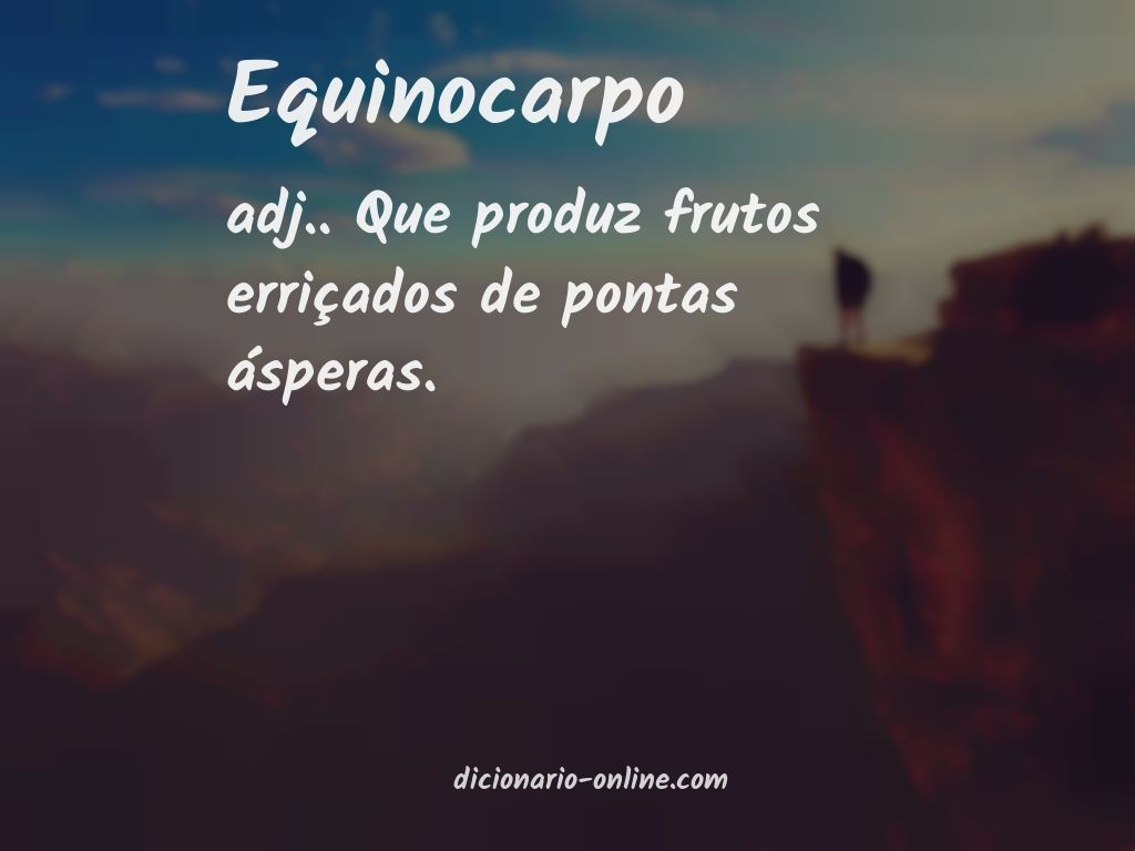 Significado de equinocarpo