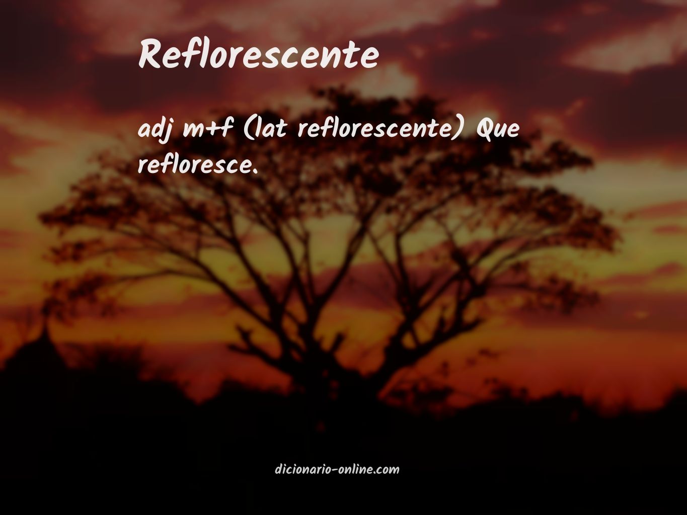 Significado de reflorescente