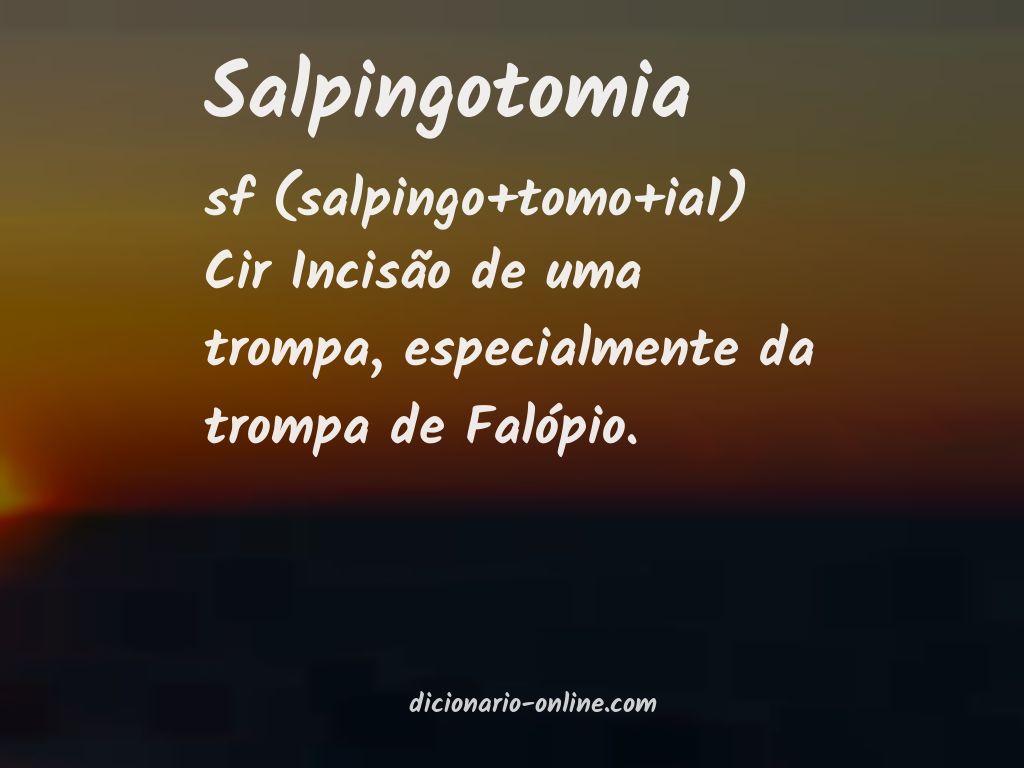 Significado de salpingotomia