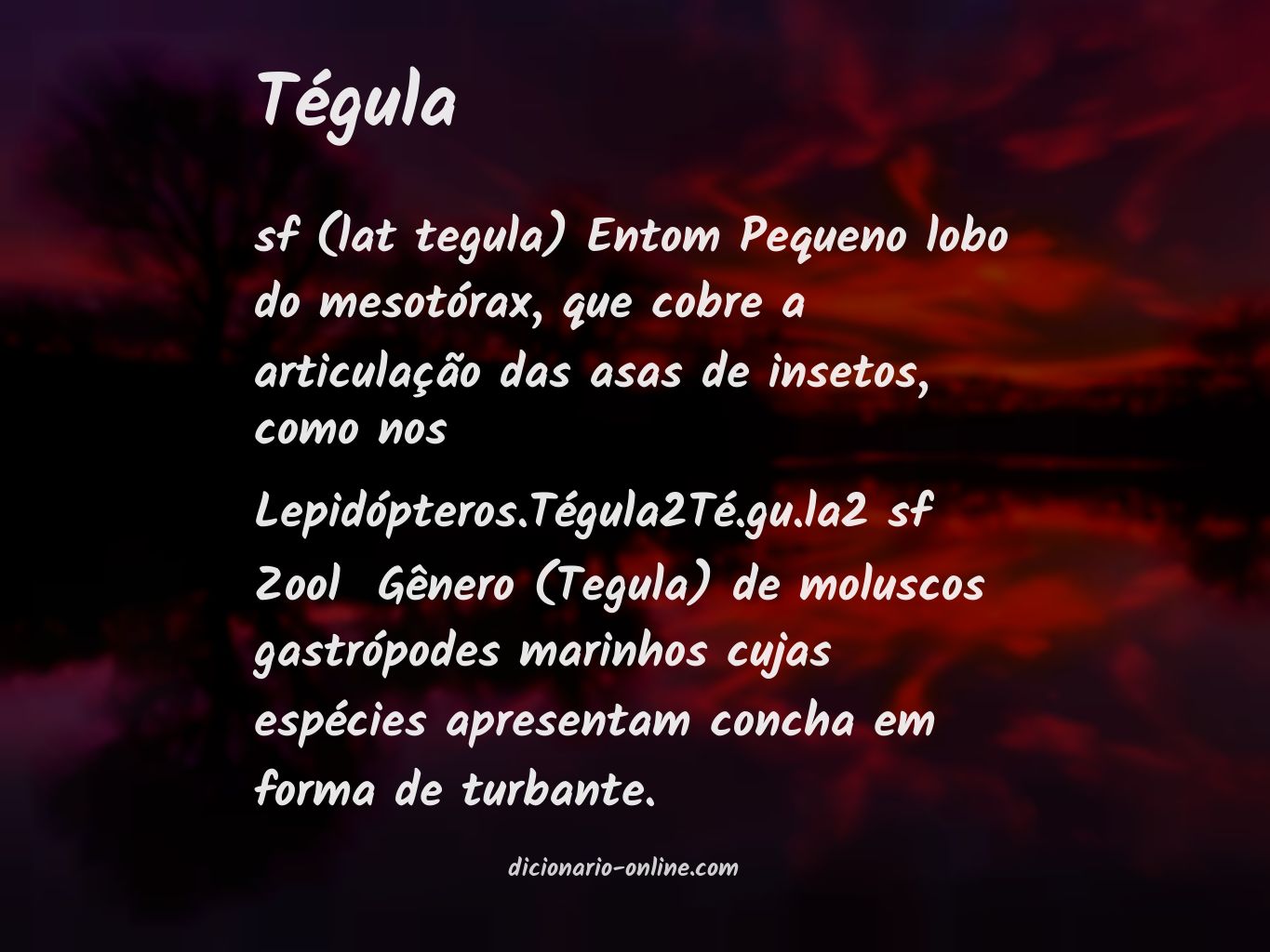 Significado de tégula