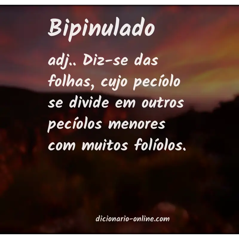 Significado de bipinulado