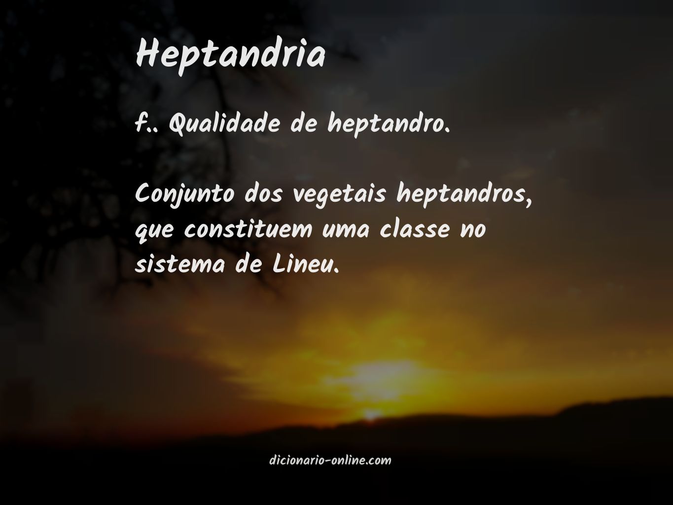 Significado de heptandria