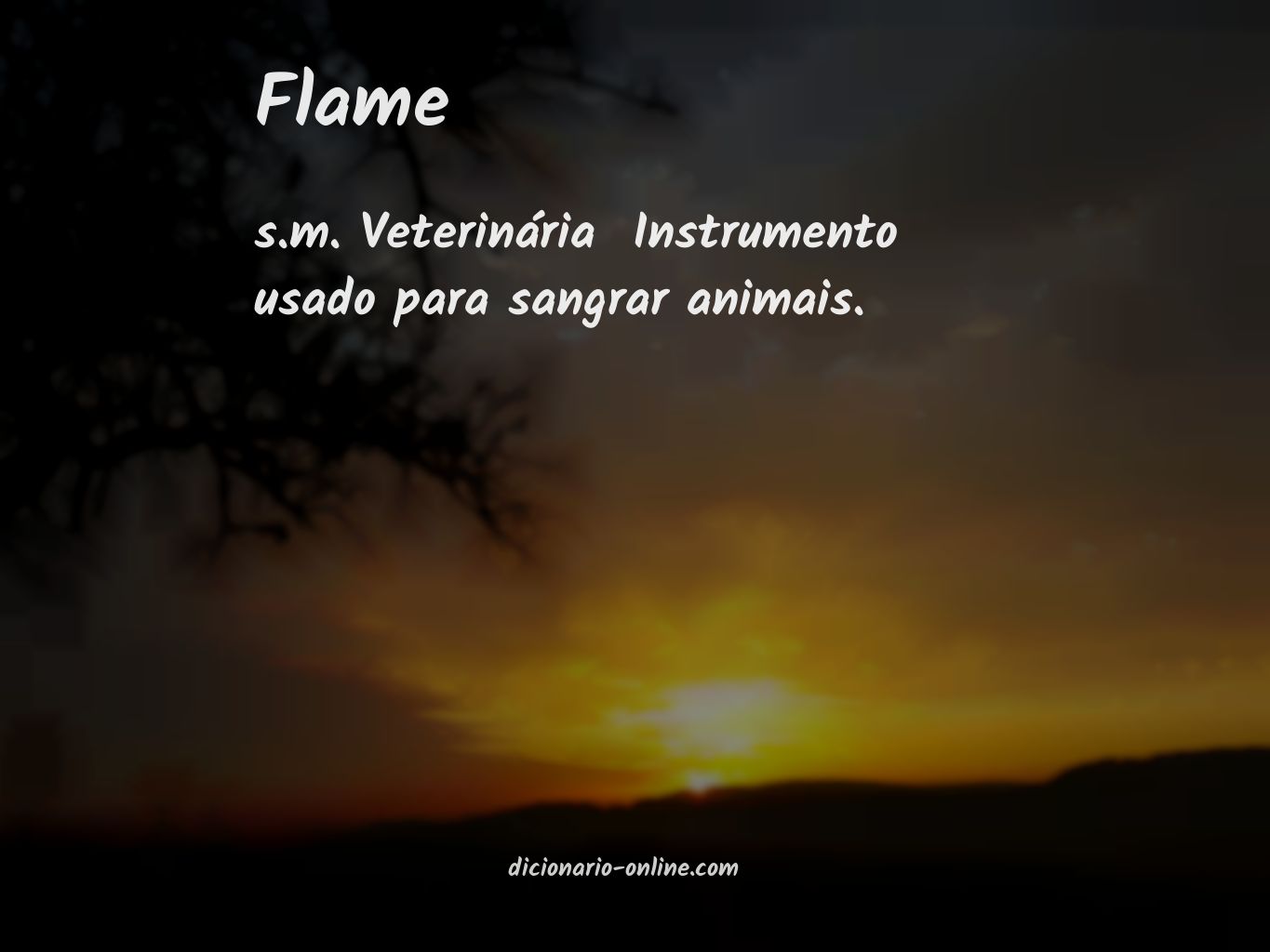 Significado de flame