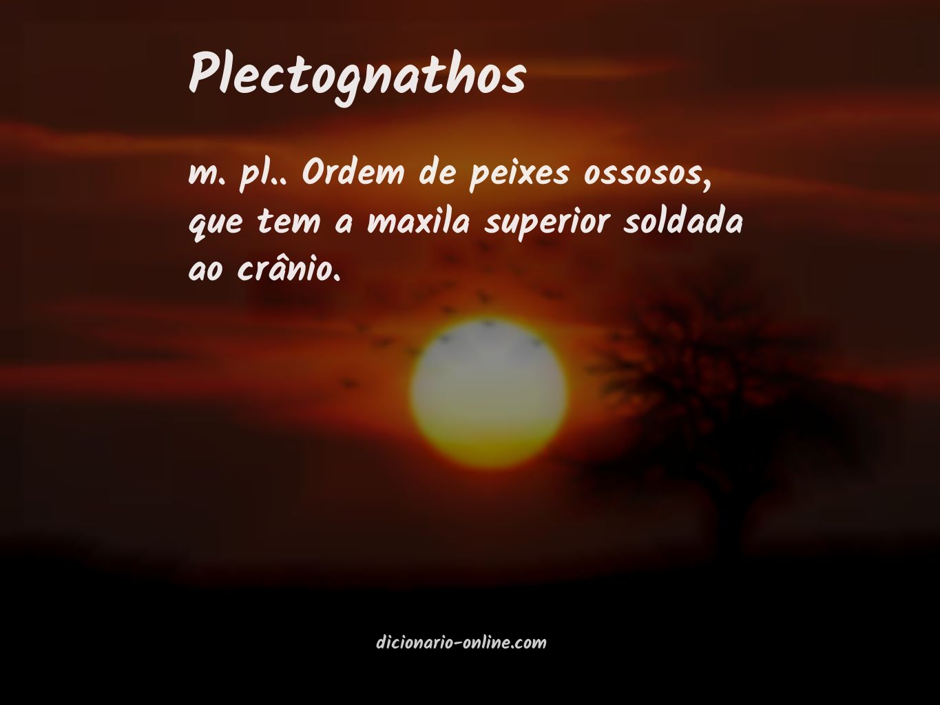 Significado de plectognathos