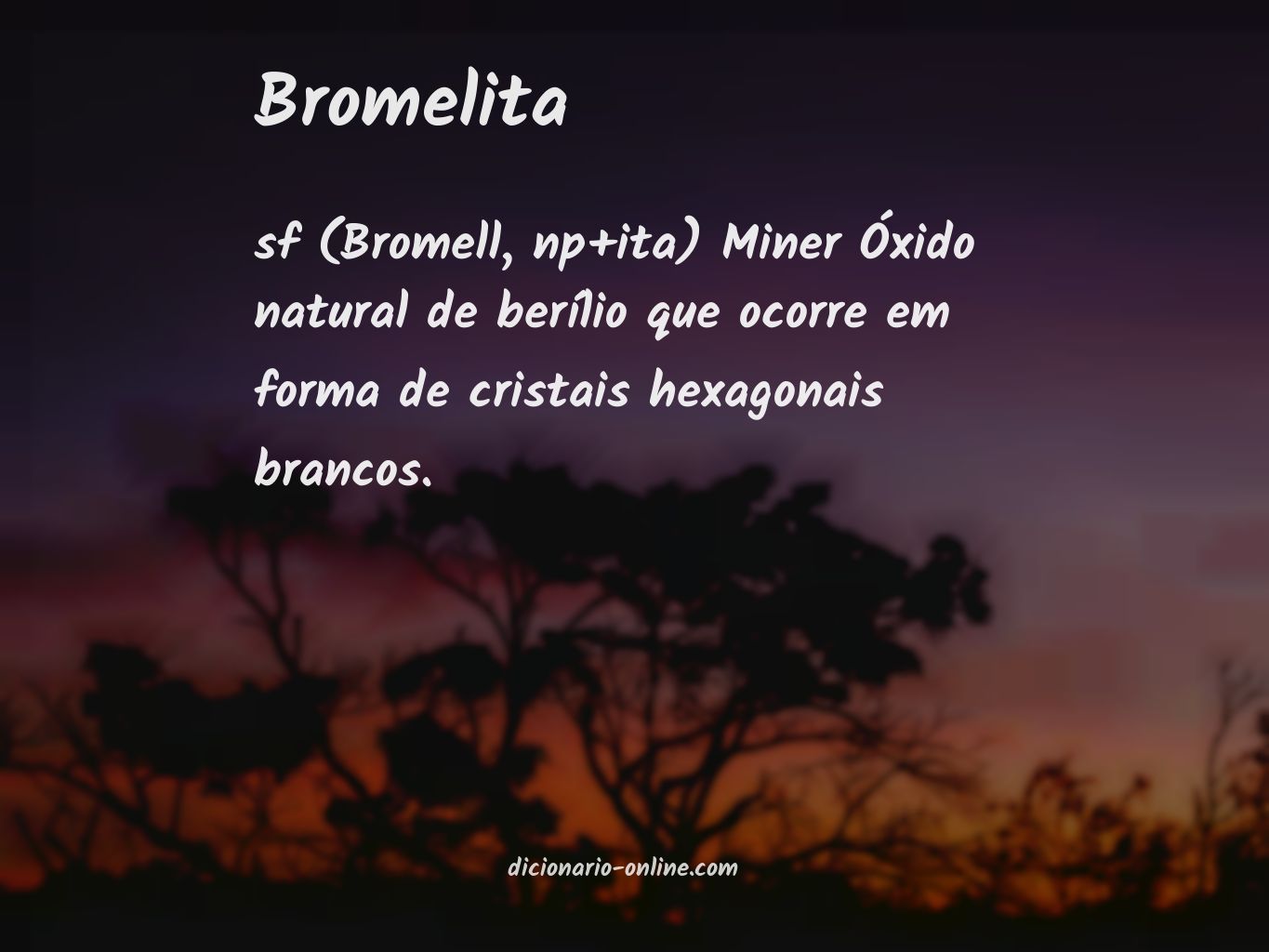 Significado de bromelita