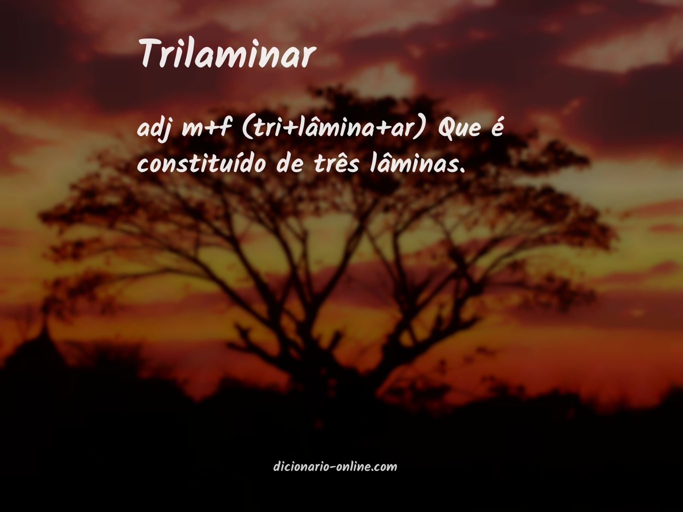 Significado de trilaminar