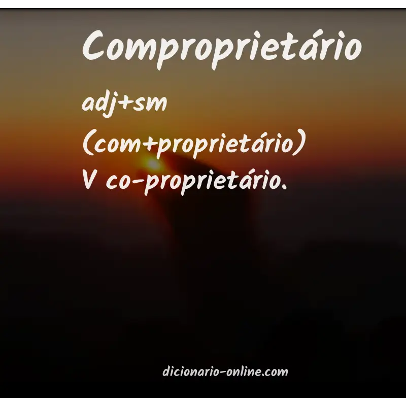 Significado de comproprietário