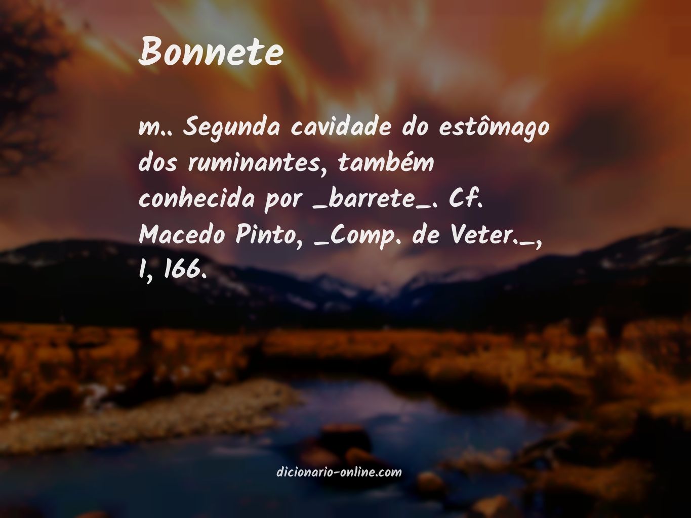 Significado de bonnete