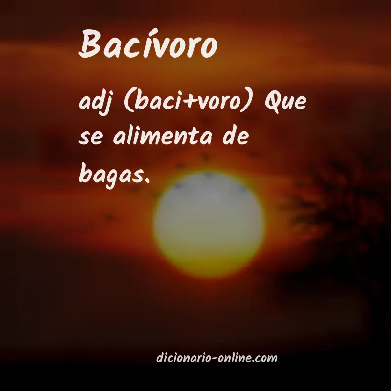 Significado de bacívoro