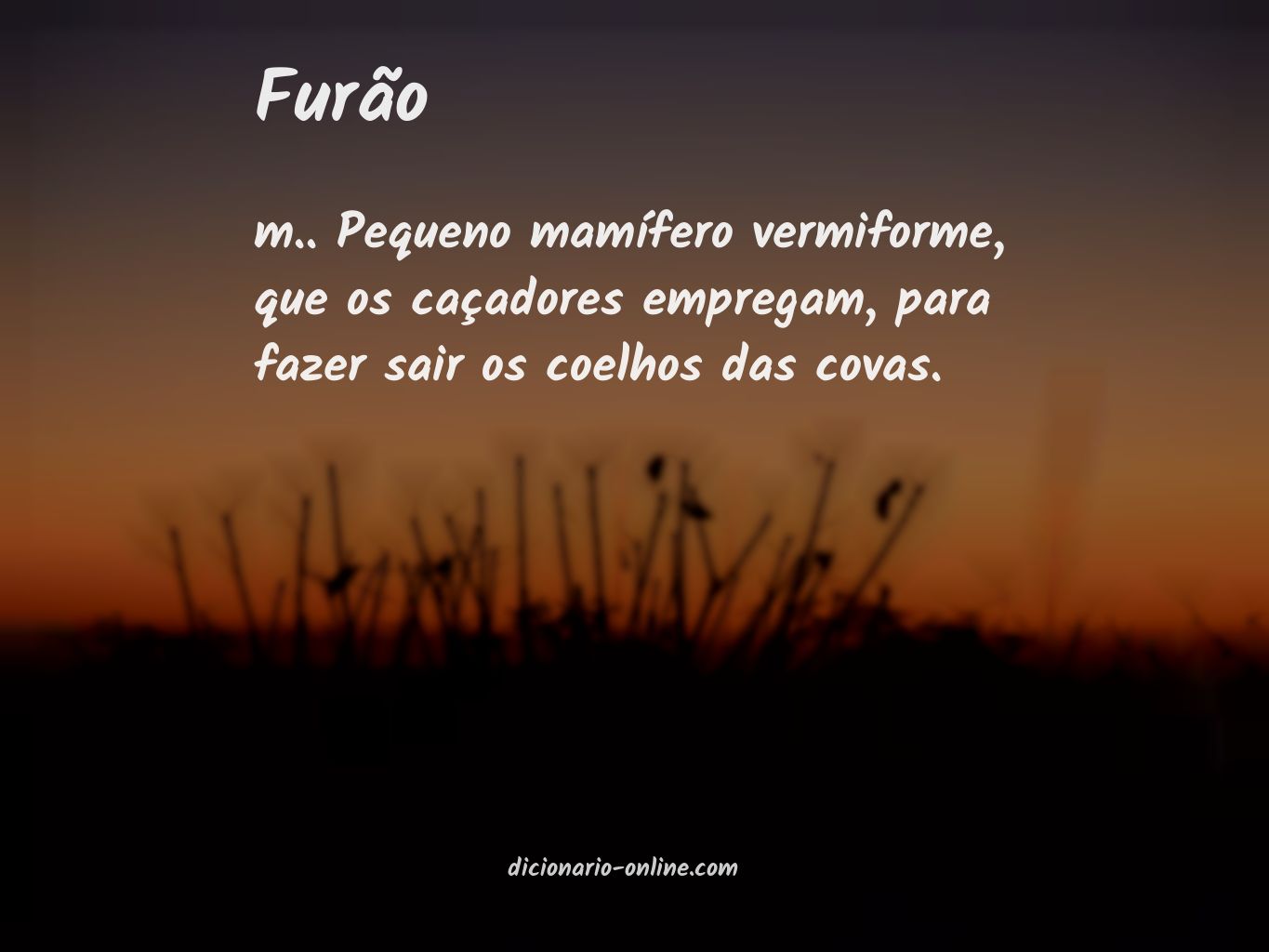 Significado de furão