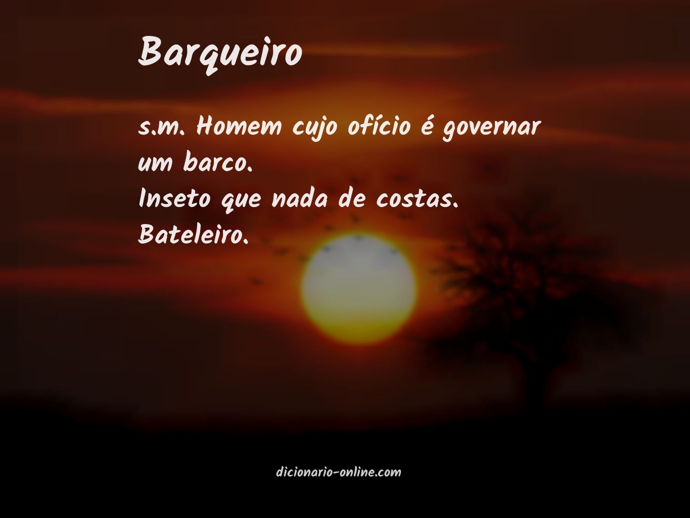 Significado de barqueiro