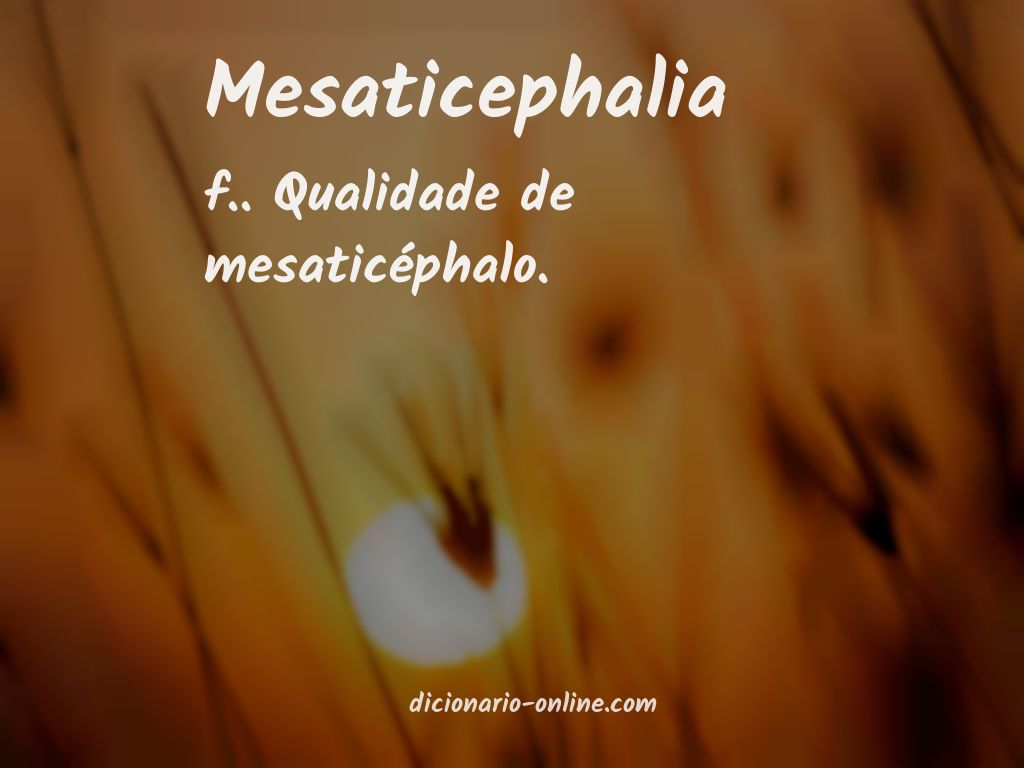 Significado de mesaticephalia