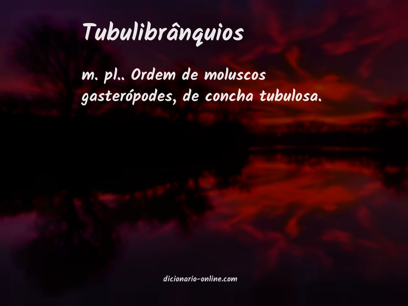 Significado de tubulibrânquios